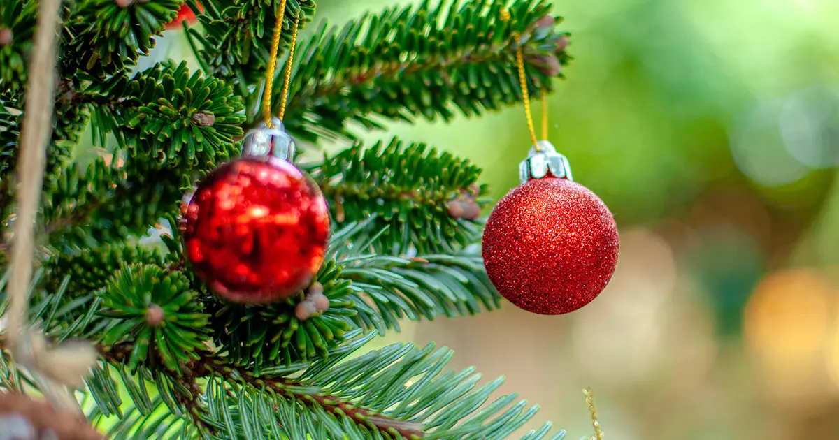 Christmas tree with two red bulbs hanging.